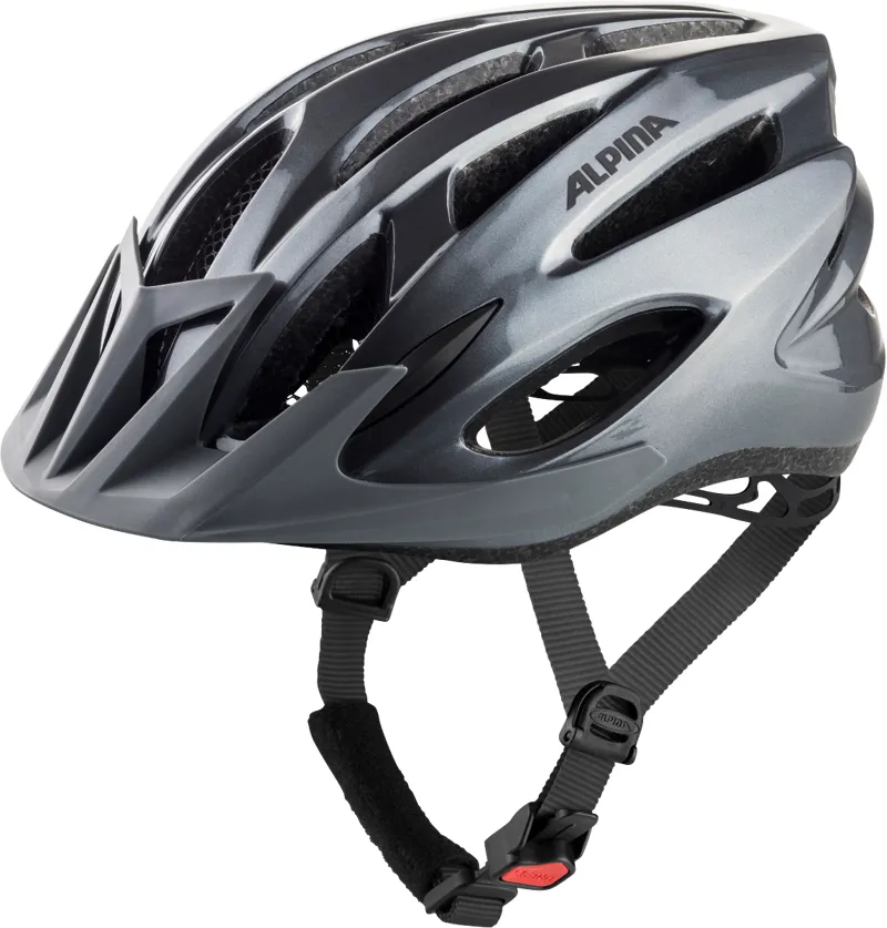 Alpina MTB17 Mountain Bike Helmet in Grey