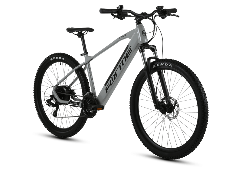 Forme Curbar HTE E- Bike Grey-1